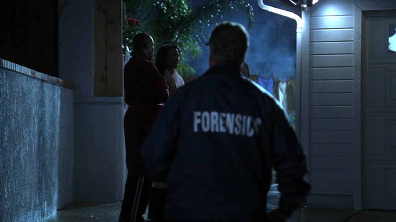 CSI A helyszínelök 4. Évad 23. Epizód online sorozat