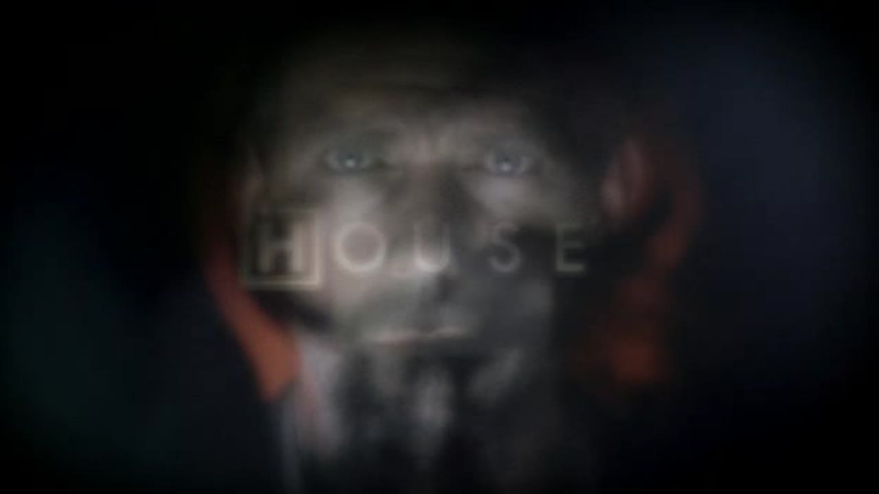 Dr House 6. Évad 14. Epizód online sorozat