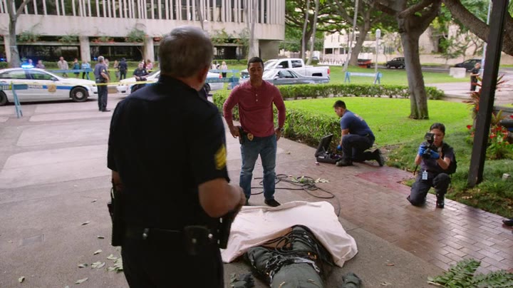Hawaii Five-0 9. Évad 19. Epizód online sorozat