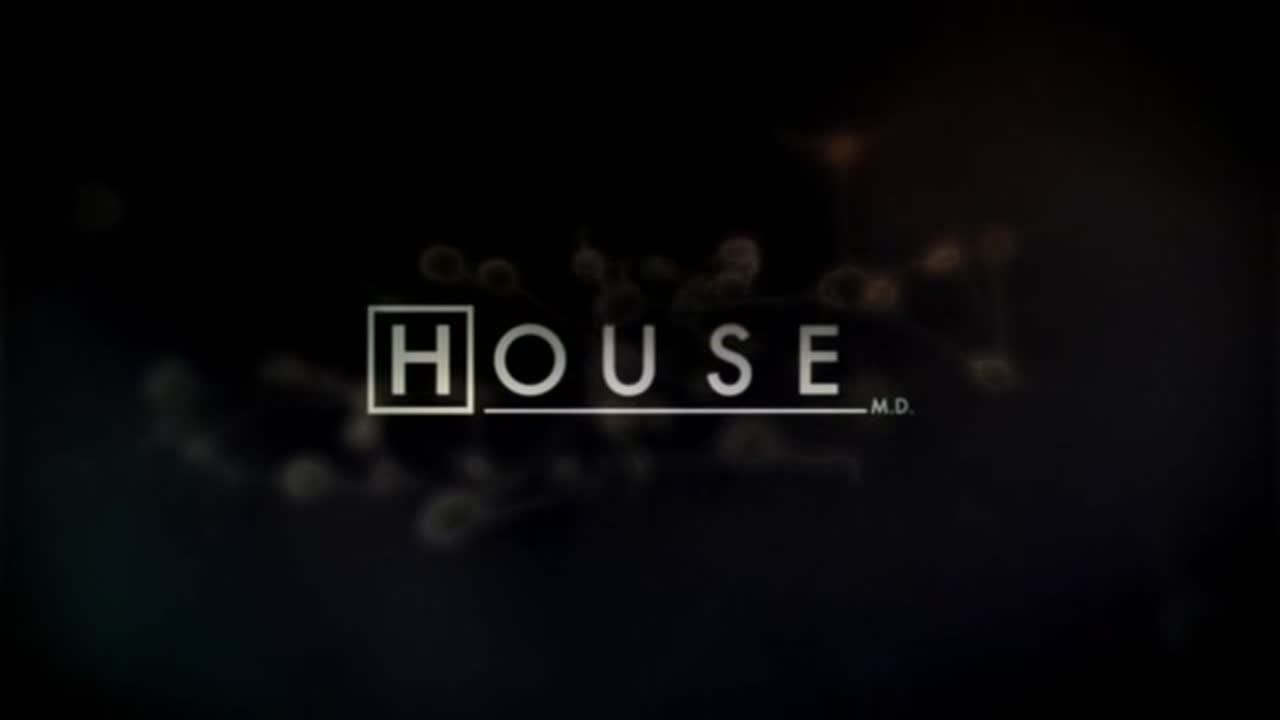 Dr House 3. Évad 13. Epizód online sorozat