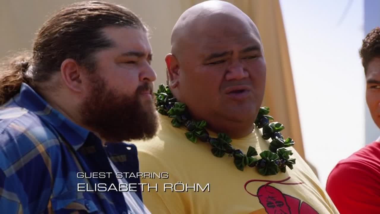 Hawaii Five-0 7. Évad 17. Epizód online sorozat