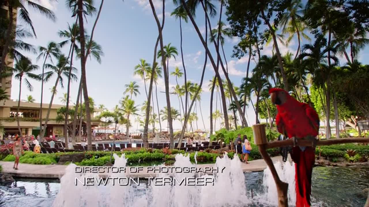 Hawaii Five-0 9. Évad 18. Epizód online sorozat