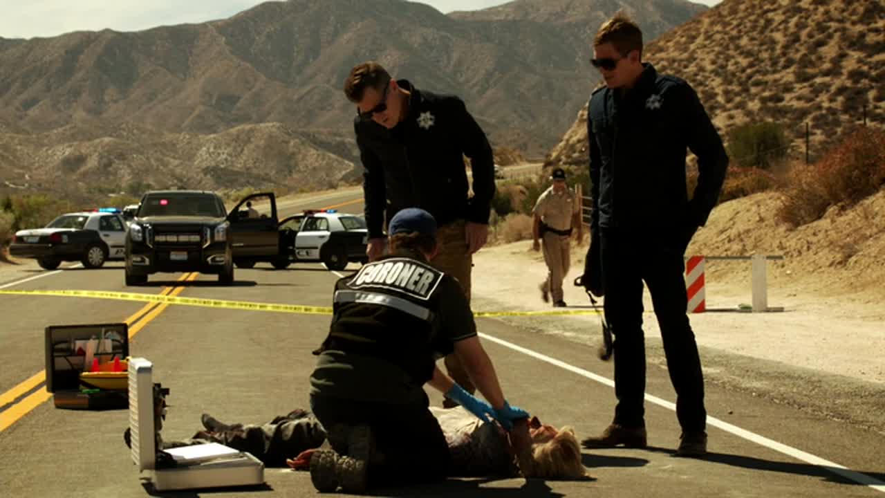 CSI A helyszínelök 15. Évad 10. Epizód online sorozat