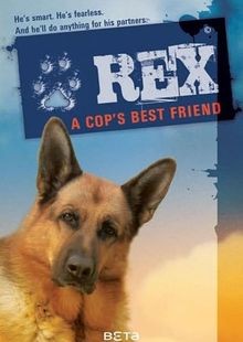 Rex Rómában online sorozat