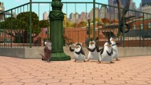 A Madagaszkár pingvinjei 2. Évad 4. Epizód online sorozat