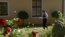 Robbie, a fóka 8. Évad 1. Epizód online sorozat