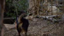 Crusoe 1. Évad 10. Epizód online sorozat