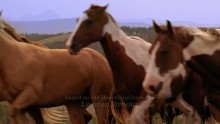 Heartland 1. Évad 3. Epizód online sorozat