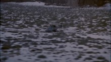 Airwolf 2. Évad 3. Epizód online sorozat