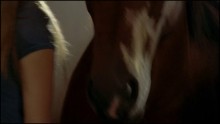 Heartland 1. Évad 3. Epizód online sorozat