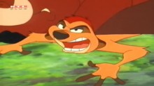 Timon és Pumba 5. Évad 8. Epizód online sorozat
