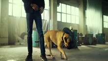 Rocky és a zsaru 1. Évad 4. Epizód online sorozat