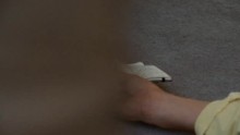 Gyilkos számok 3. Évad 6. Epizód online sorozat