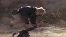 MacGyver 7. Évad 14. Epizód online sorozat