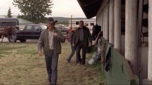 Heartland 4. Évad 7. Epizód online sorozat
