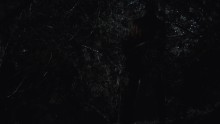 Fear the Walking Dead 5. Évad 5. Epizód online sorozat