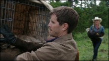 Heartland 9. Évad 6. Epizód online sorozat