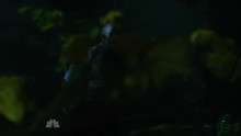 Grimm 1. Évad 12. Epizód online sorozat