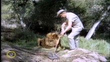Daktari 3. Évad 5. Epizód online sorozat
