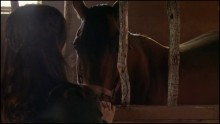 Heartland 1. Évad 7. Epizód online sorozat