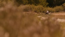 Better Call Saul 5. Évad 5. Epizód online sorozat