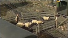 Thomas a gözmozdony 8. Évad 24. Epizód online sorozat