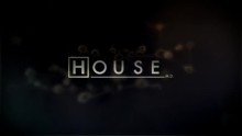 Dr House 2. Évad 14. Epizód online sorozat