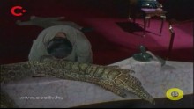 Végtelen határok 2. Évad 16. Epizód online sorozat