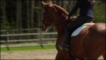 Heartland 8. Évad 1. Epizód online sorozat