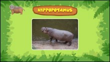 Leo, az ifjú vadör 2. Évad 21. Epizód online sorozat