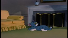 Tom és Jerry 8. Évad 2. Epizód online sorozat